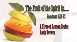 The Fruit of Longsuffering - Patience Is A Virtue