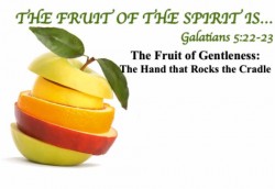 The Fruit of Gentleness - The Hand That Rocks The Cradle
