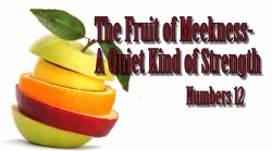 The Fruit of Meekness - A Quiet Kind of Strength