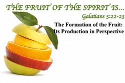 The Formation of the Fruit - It's Production in Perspective